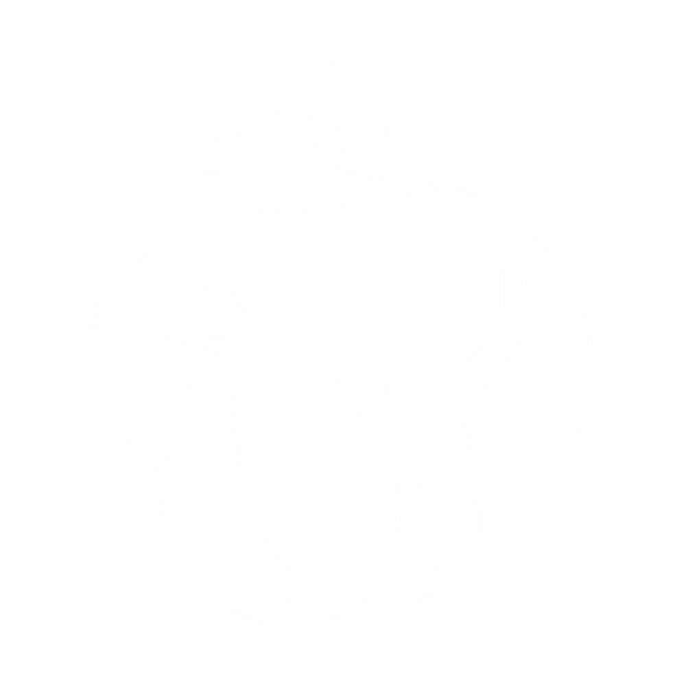 Triathlon Logo